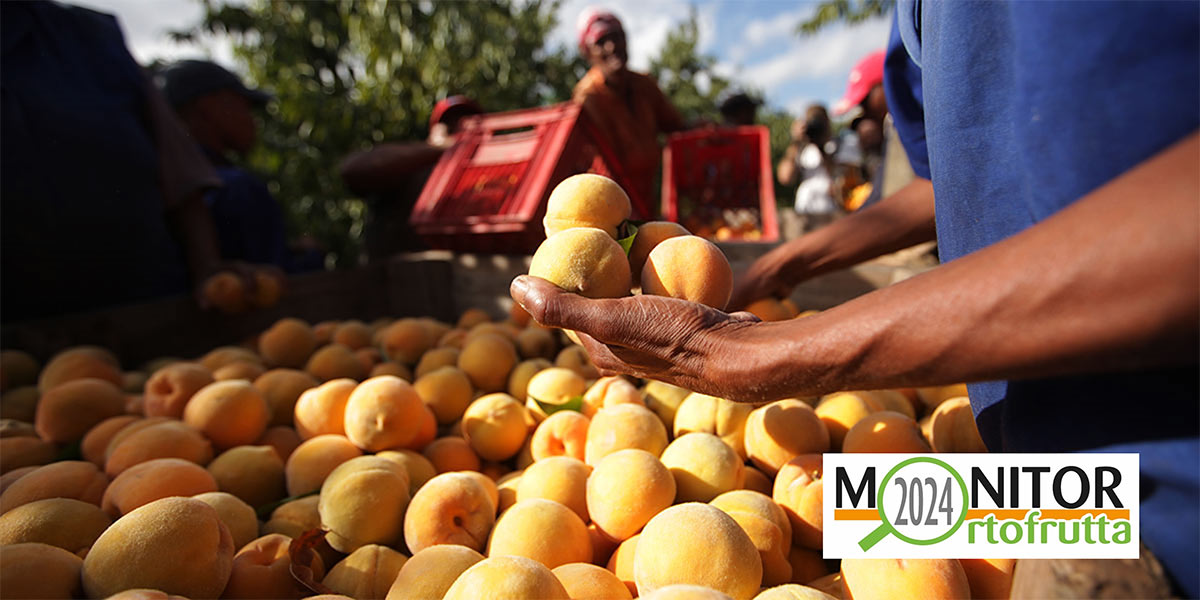 Lavoro agricolo: non possiamo fare a meno degli stranieri e non basta